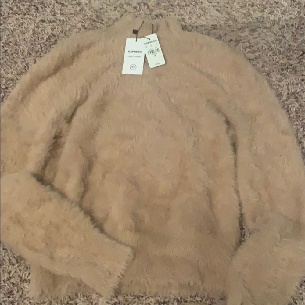 Express sweater